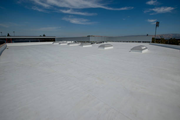 Best Green or Eco-Friendly Roofing Solutions  in Weber City, VA